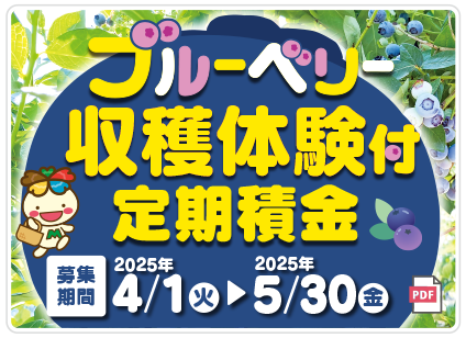 ブルーベリー収穫体験付定期積金