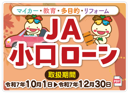 JA小口ローン