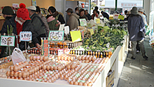 みどりっ子村山店（武蔵村山地区農産物直売所）