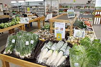 野菜売り場の写真