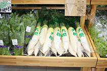 売り場に並んだ大根の写真