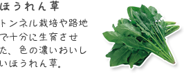 ほうれん草