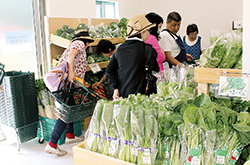 国立地区農産物直売所がオープン