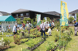 立川グリーンウィーク2018緑化まつり