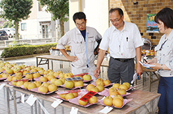 東大和市梨共進会