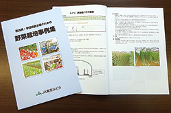 「野菜栽培事例集」を発行しました