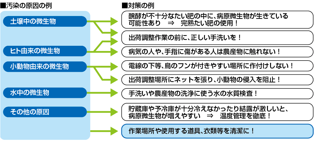 微生物による汚染