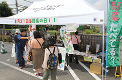 野菜の日に「みのーれ立川」でイベント