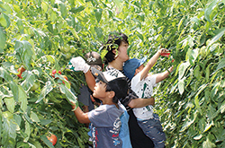 夏休み！親子体験教室
