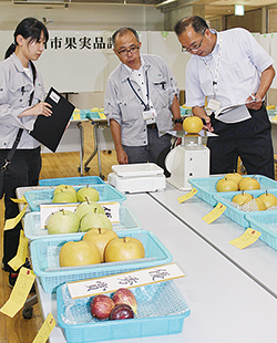 果実品評会