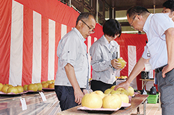 果実品評会
