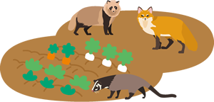 動物イラスト