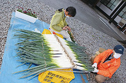 明治神宮新嘗祭 野菜宝船奉献～野菜宝船ができるまで～