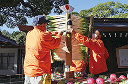 明治神宮新嘗祭 野菜宝船奉献～野菜宝船ができるまで～
