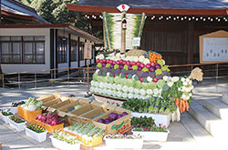 明治神宮新嘗祭 野菜宝船奉献～野菜宝船ができるまで～