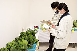 立川市農産物品評会