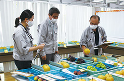 立川果実品評会