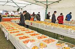 第50回東京都農業祭共進会