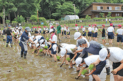 国立市稲作体験学習会