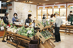ＪＡアグリパークで管内の農産物を販売
