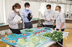 立川市夏野菜品評会