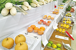 品評会に出品された柿や梨などの写真