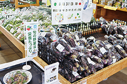 オリジナルエコバッグを配布する職員
