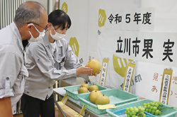 梨を品評する職員2人