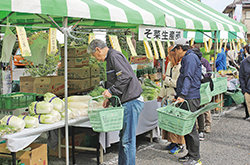 賑わう野菜販売テントの写真
