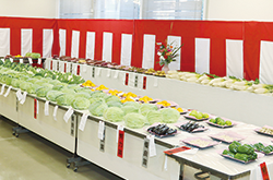 品評会に出品された野菜や果物の写真