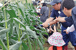 親子夏野菜収穫体験会