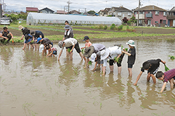 田植え指導