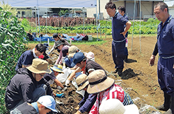 親子夏野菜収穫体験会