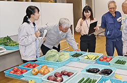立川市夏野菜品評会