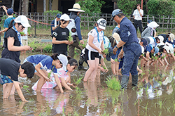 国立市稲作体験学習会