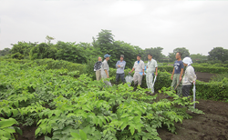 高冷地委託栽培視察会