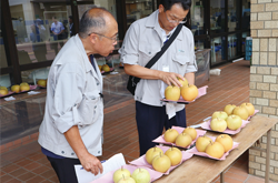 管内各地区で梨の品評会を開催