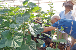 農業実践力養成セミナー