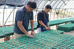 昭島市花卉園芸組合が新入職員の営農指導基礎研修を受け入れ