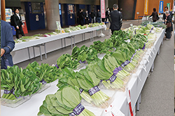 第54回東京都農業祭共進会に出品され、テーブルに並ぶ野菜
