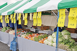 賑わう野菜販売テントの写真