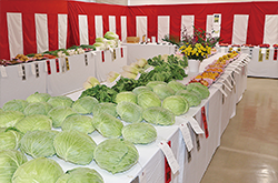 品評会に出品された野菜や果物の写真