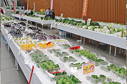 第54回東京都農業祭共進会に出品され、テーブルに並ぶ野菜