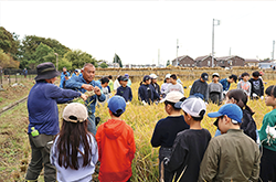 国立地区稲作体験学習会