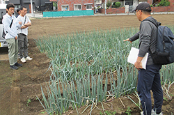 青壮年部圃場見学会