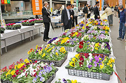 第54回東京都農業祭共進会に出品され、テーブルに並ぶ花卉