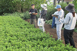 第30回委託苗木立毛品評会