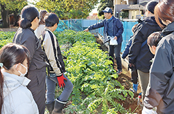 収穫体験付親子料理教室