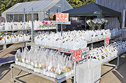 ファーマーズセンター「みのーれ立川」秋の大収穫祭