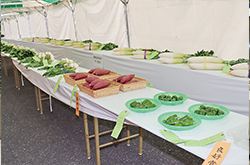品評会に出品された野菜や果物